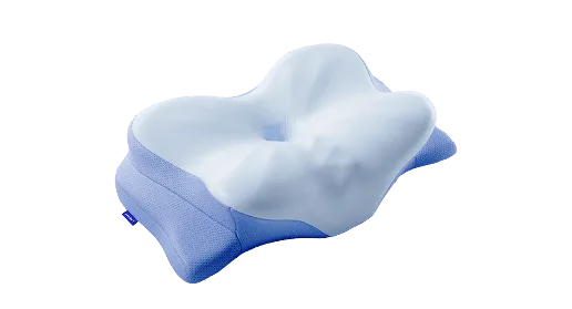 1 Derila Ergo pillow
